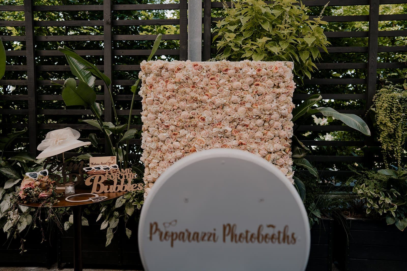 A photo booth facing a blush rose flower wall backdrop set up for a bridal shower